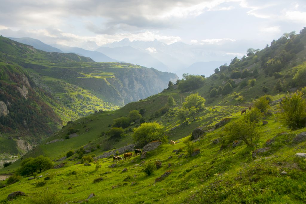 Северная Осетия, Кармадон